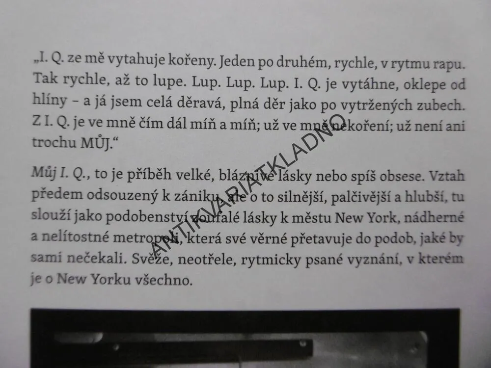 MŮJ I.Q., MĚSTO NEW YORK A JEDNA DIVNÁ LÁSKA, IVA PEKÁRKOVÁ, **an
