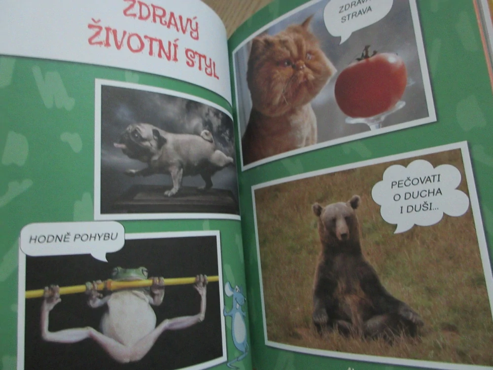 VTIPY PRO DĚTI, HLODY SE ZVÍŘATY, **an