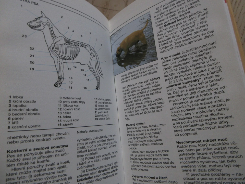 VÁŠ PES A ŠTĚŇÁTKO, PRAKTICKÁ PŘÍRUČKA, ANDREW EDNEY, ROGER MUGFORD, **an