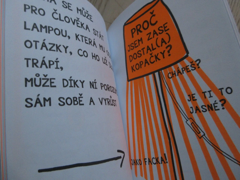 KNIHA, CO TĚ NAUČÍ MILOVAT KNIHY I KDYŽ ČTENÍ NESNÁŠÍŠ, FRANCOIZE BOUCHEROVÁ, **an