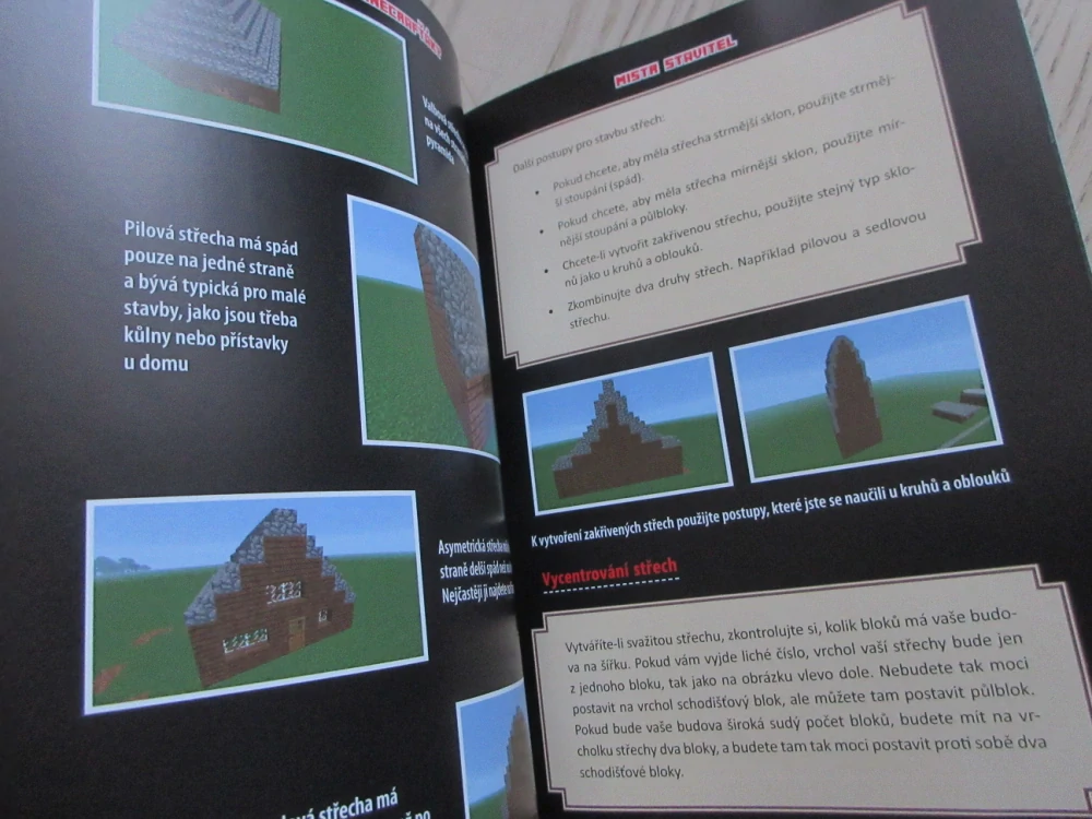 TAJNÉ TRIKY PRO MINECRAFŤÁKY, MISTR STAVITEL, MINECRAFT, **an