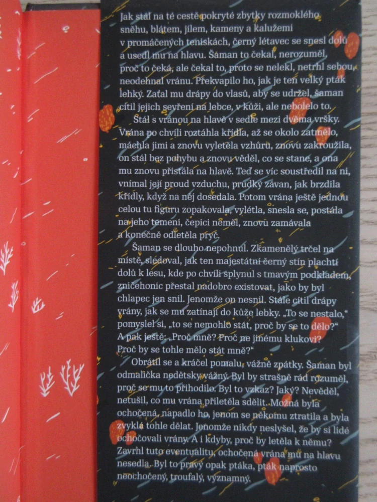 ŠAMAN, MARTIN FENDRYCH, **an