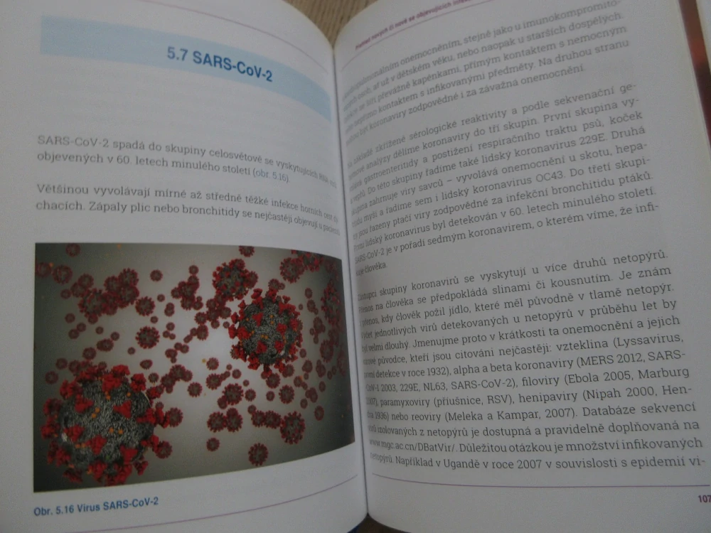 VIROVÉ INFEKČNÍ NEMOCI, VANDA BOŠTÍKOVÁ, **an