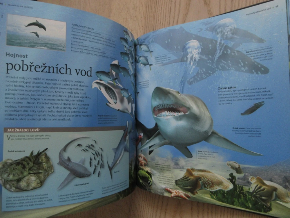 OCEÁNY, NA VLASTNÍ OČI, BEVERLY MCMILLANOVÁ, JOHN A. MUSICK, **an