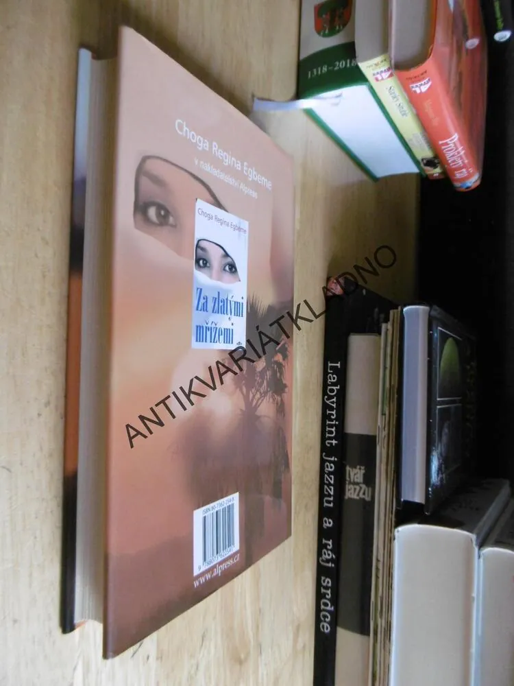 ZAKÁZANÁ OÁZA, MŮJ ŽIVOT V HARÉMU, CHOGA REGINA EGBEME, **an