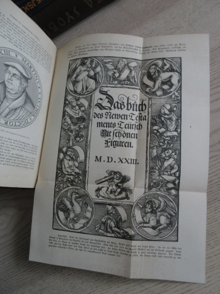 DĚJINY LITERATURY, DEUTSCHE LITTERATURGESCHICHTE, ROBERT KOENIG, **an