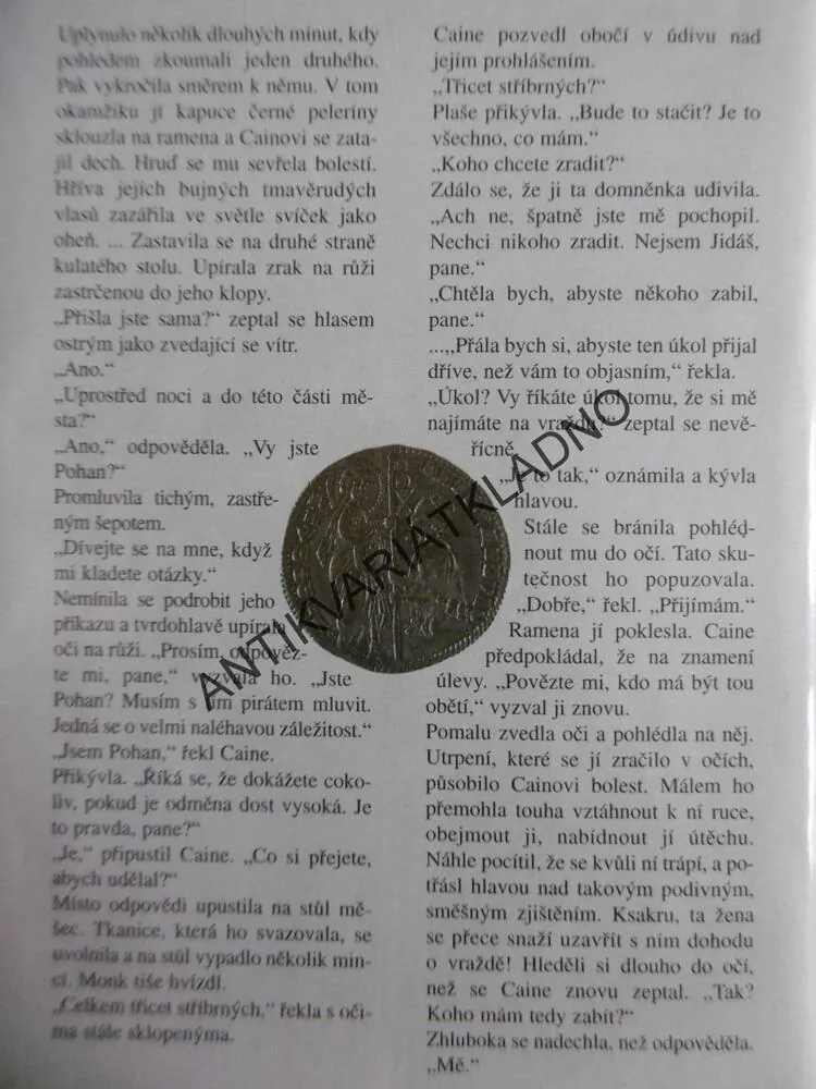 STRÁŽNÝ ANDĚL, JULIE GARWOOD, GARWOODOVÁ, **an