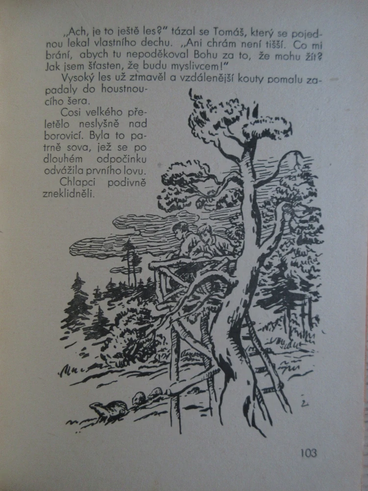 NEJKRÁSNĚJŠÍ PRÁZDNINY, JOSEF PRCHAL, **an 
