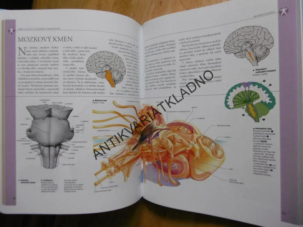 ANATOMIE, ILUSTROVANÝ ATLAS, 