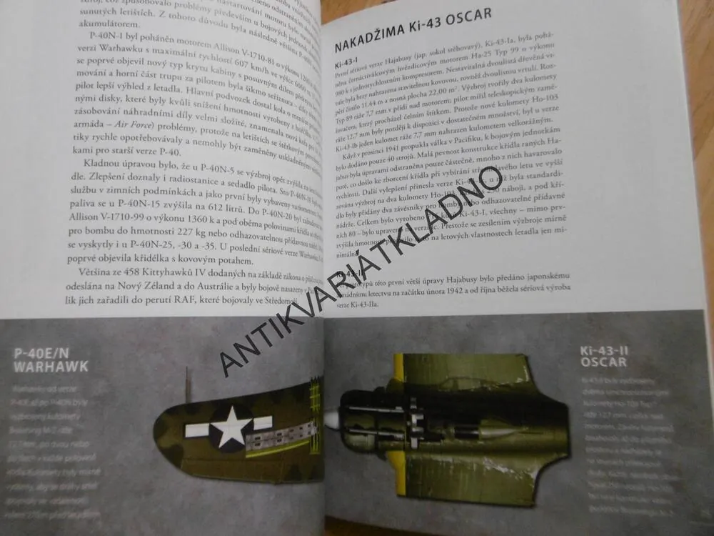 P-40 WARHAWK VS KI-43 OSCAR, MOLESWORTH