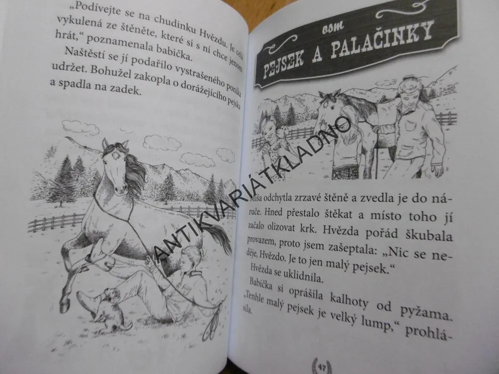 RANČ STŘÍBRNÝ PONÍK, HVĚZDA, D.L. GREENOVÁ, **an