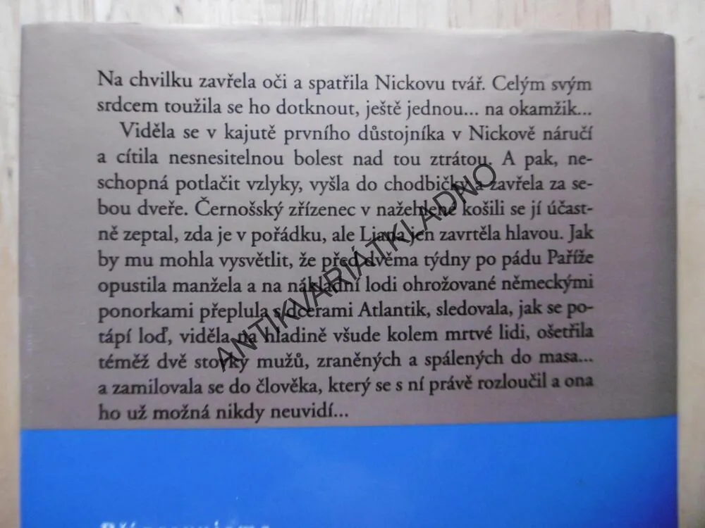 KŘIŽOVATKY, DANIELLE STEEL, **an