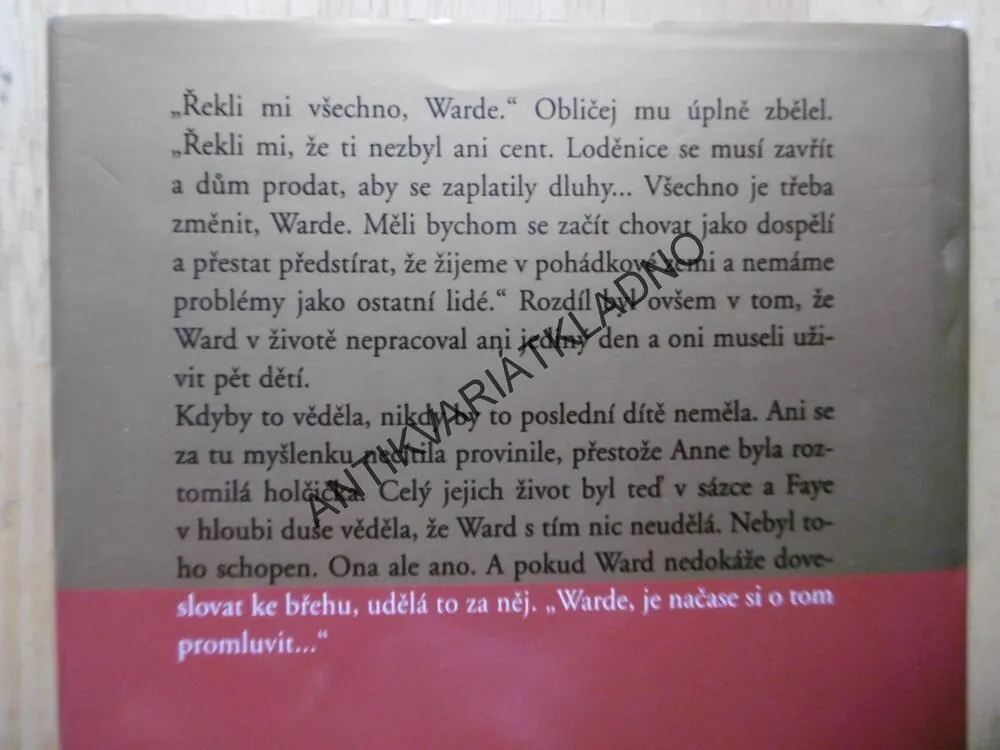 RODINNÉ ALBUM, DANIELLE STEEL, **an