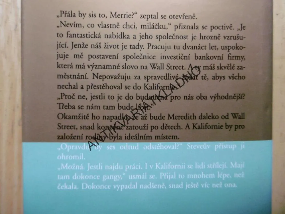 NEODOLATELNÉ SÍLY, DANIELLE STEEL, **an