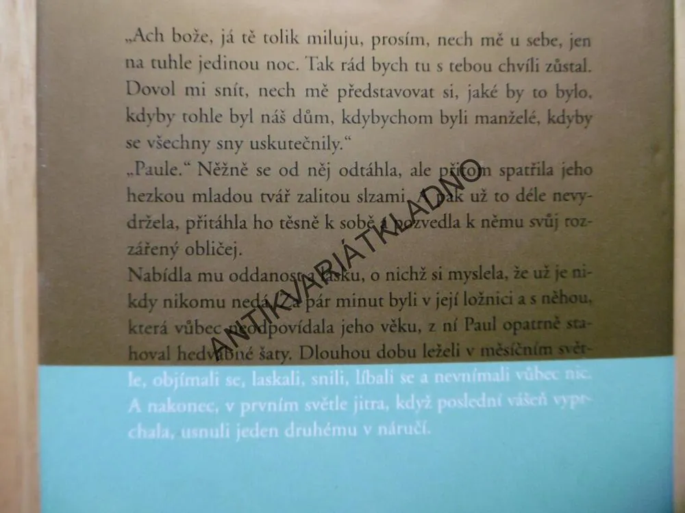 PRSTEN, DANIELLE STEEL, **an