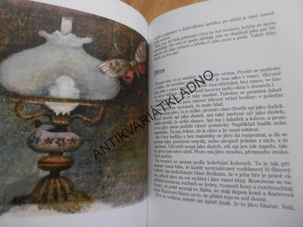 HLEDÁNÍ RADOSTI, FRANTIŠEK NEPIL, KAREL FRANTA, **an