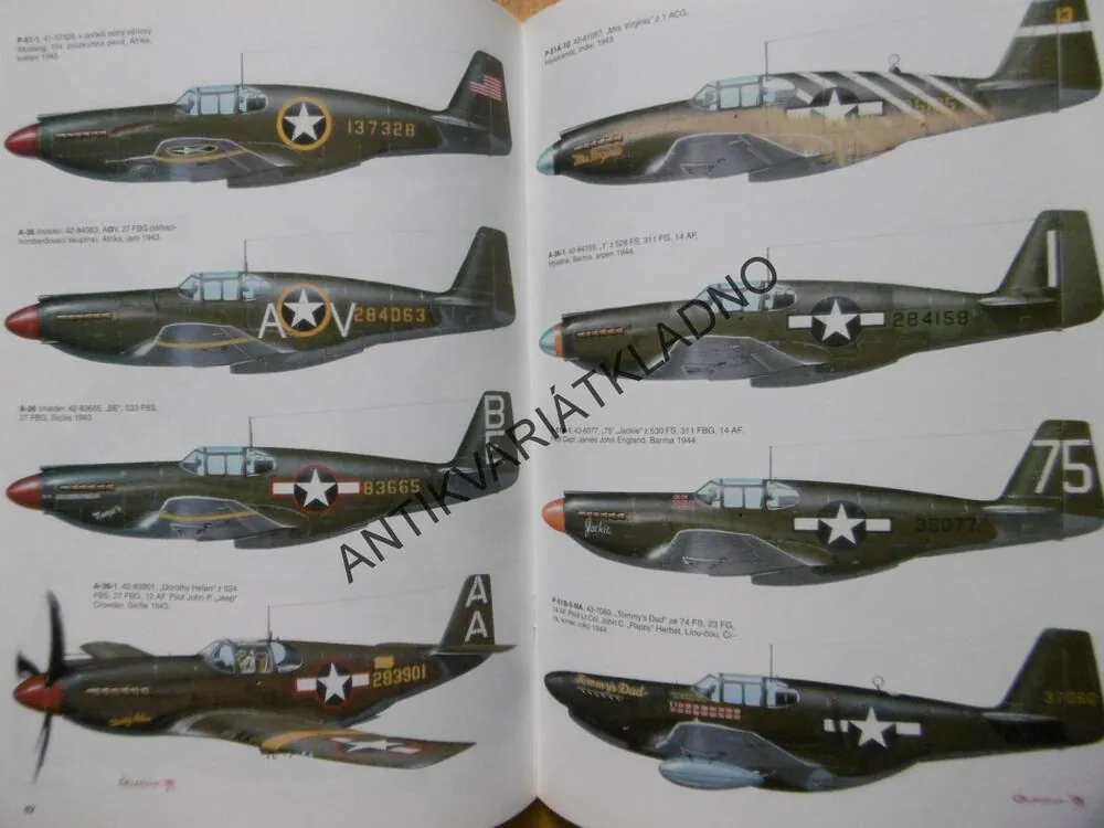 MONOGRAFIE 1., NORTH AMERICAN P-51 MUSTANG