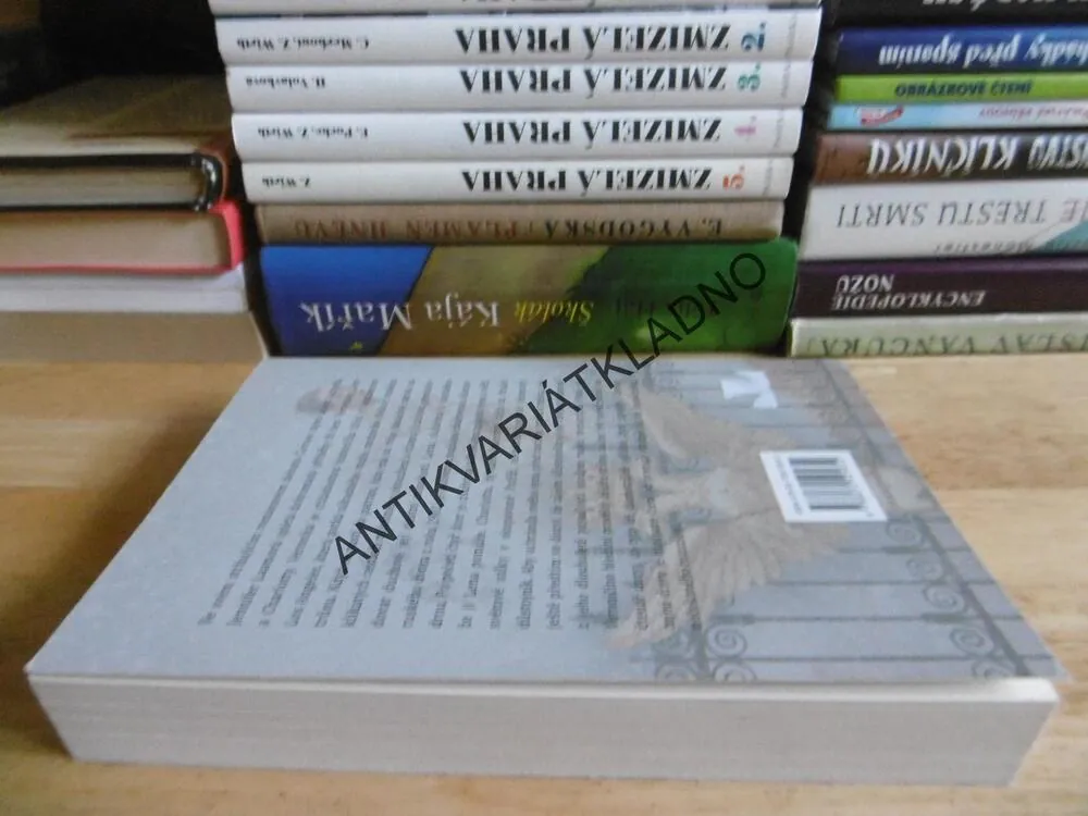 CAROVA TAJNÁ DCERA, JENNIFER LAAMOVÁ, **an