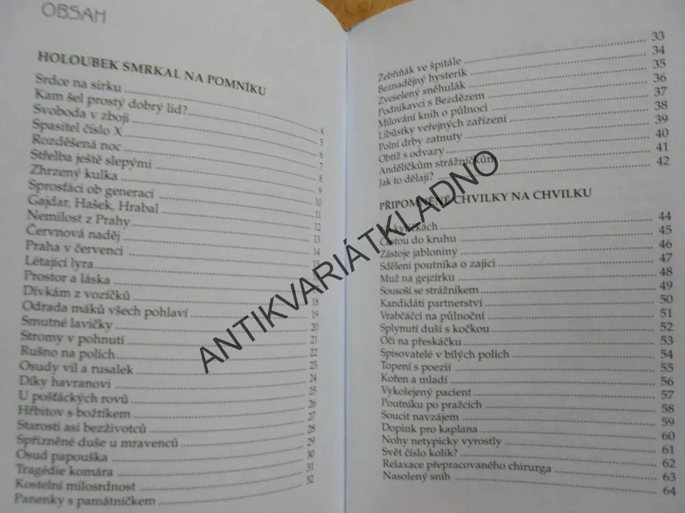 DECHOVKA PRO ZLODĚJE, LADISLAV ČERVENKA