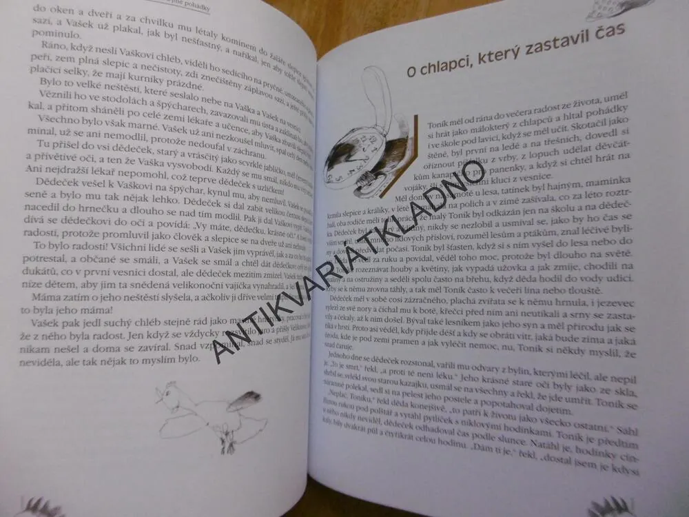 TULÁKOVA HŮL A JINÉ POHÁDKY, OLGA SCHEIPFLUGOVÁ, **an