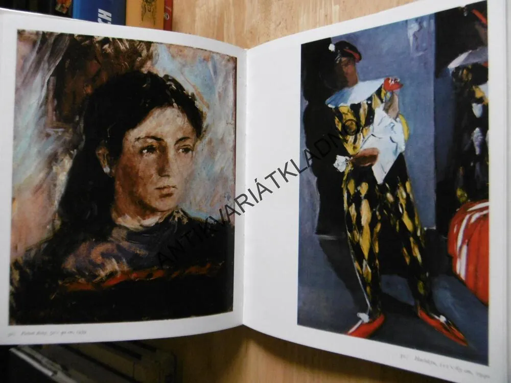 FRANTIŠEK JIROUDEK, ČESTMÍR BERKA, VÝTVARNÉ UMĚNÍ