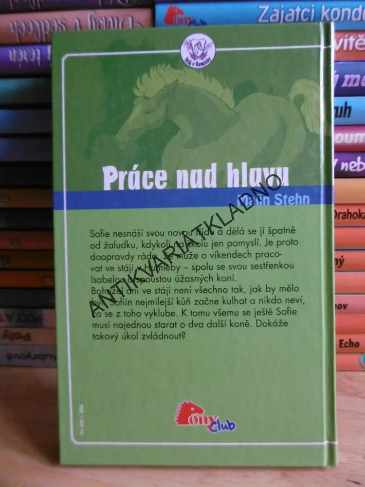 PRÁCE NAD HLAVU, MALIN STEHN, **an