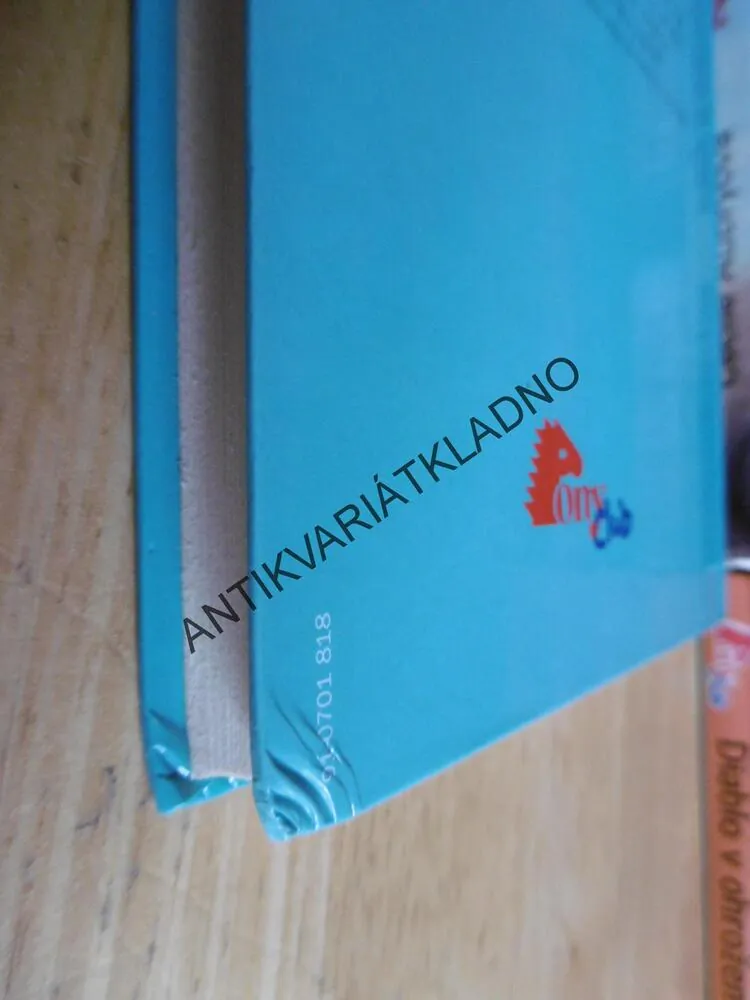 HRDINA NOCI, GABI ADAM, **an
