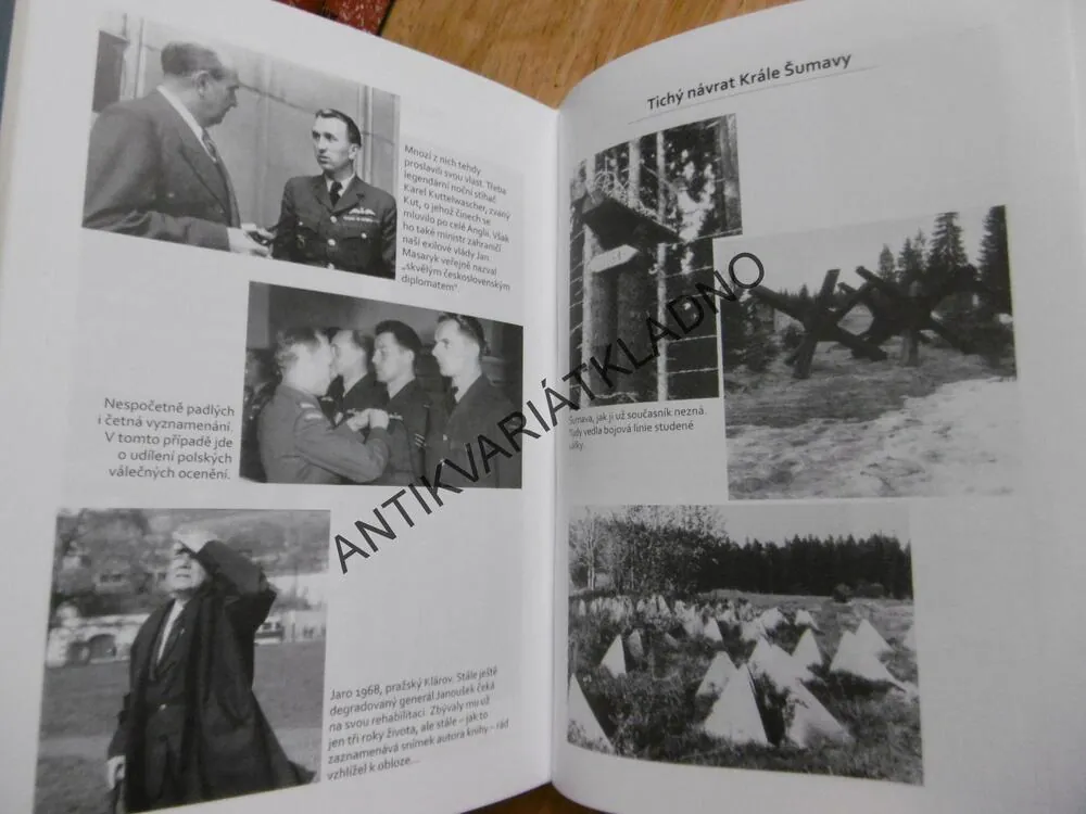 BĚDA TOMU, KDO VYČNÍVÁ Z ŘADY, ROMAN CÍLEK, **an
