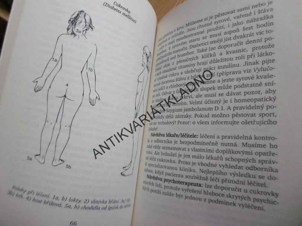 REIKI, DOMÁCÍ LÉKÁRNA, WALTER LÜBECK, **an