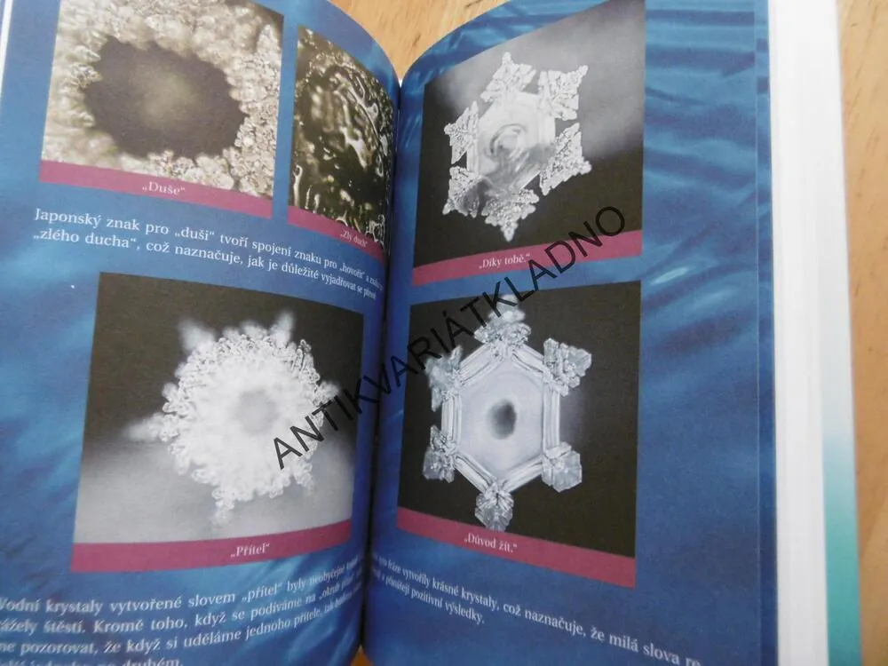 ZÁZRAČNÁ VODA, MASARU EMOTO,