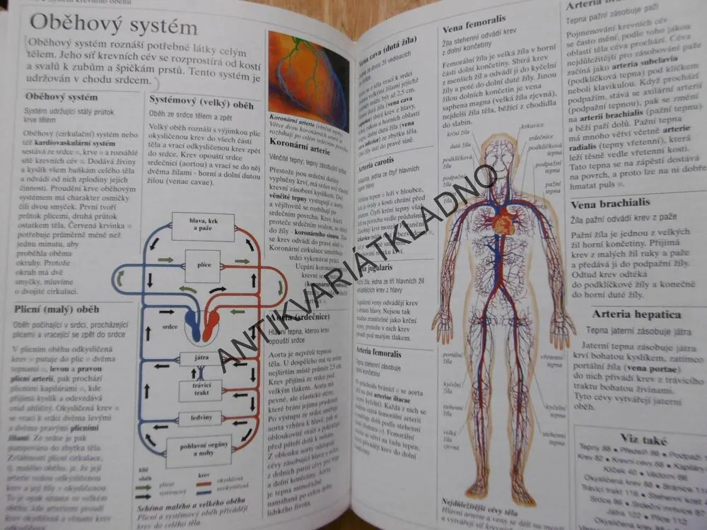 STRUČNÁ ENCYKLOPEDIE LIDSKÉHO TĚLA, BURNIE, , **an