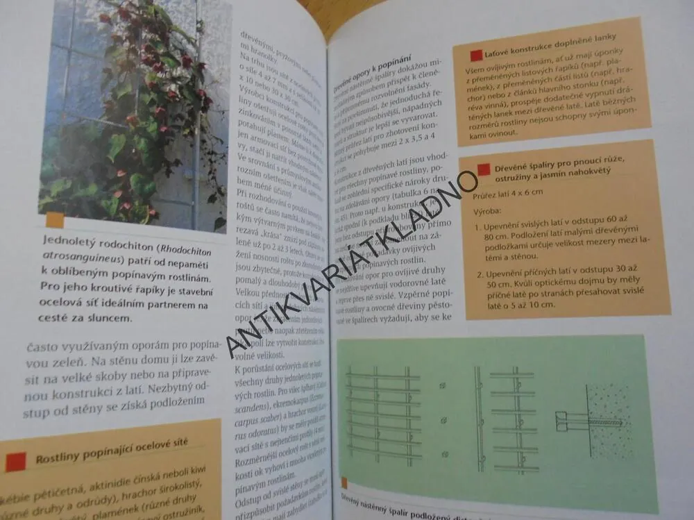 OZELENĚNÍ POPÍNAVÝMI ROSTLINAMI, FASÁDY, PERGOLY, RITA GUNKEL, **an