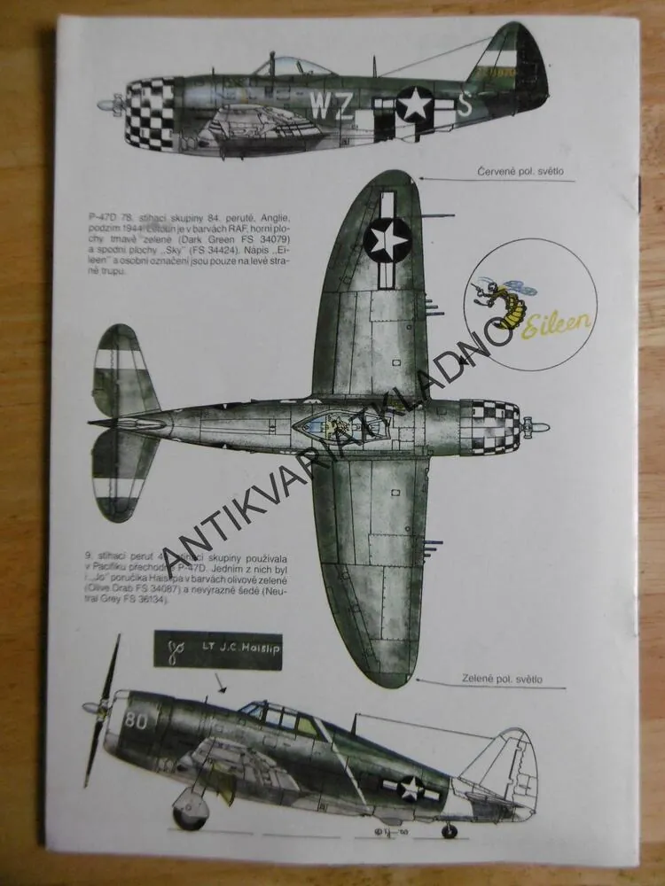 REPUBLIC P-47 THUNDERBOLT