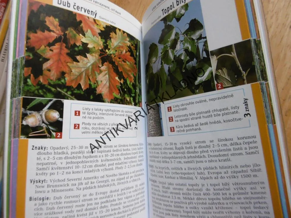 STROMY A KEŘE, PRŮVODCE PŘÍRODOU, URČOVÁNÍ PODLE 3 ZNAKŮ, HECKER