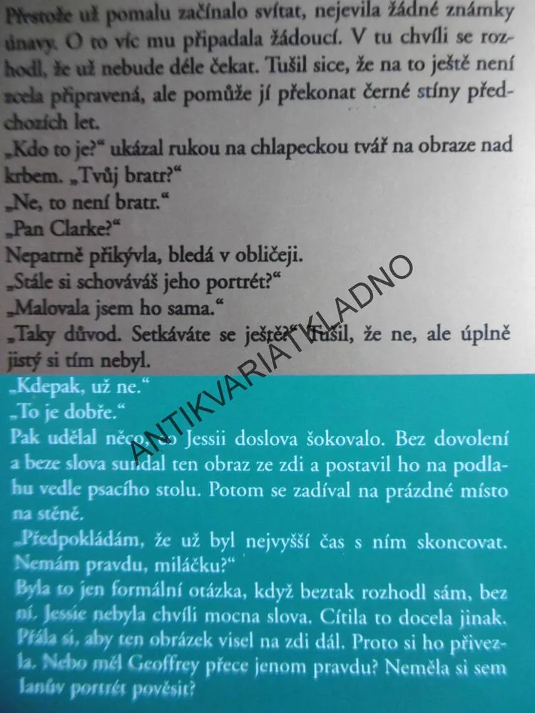 NAVŽDY SPOLU, DANIELLE STEEL