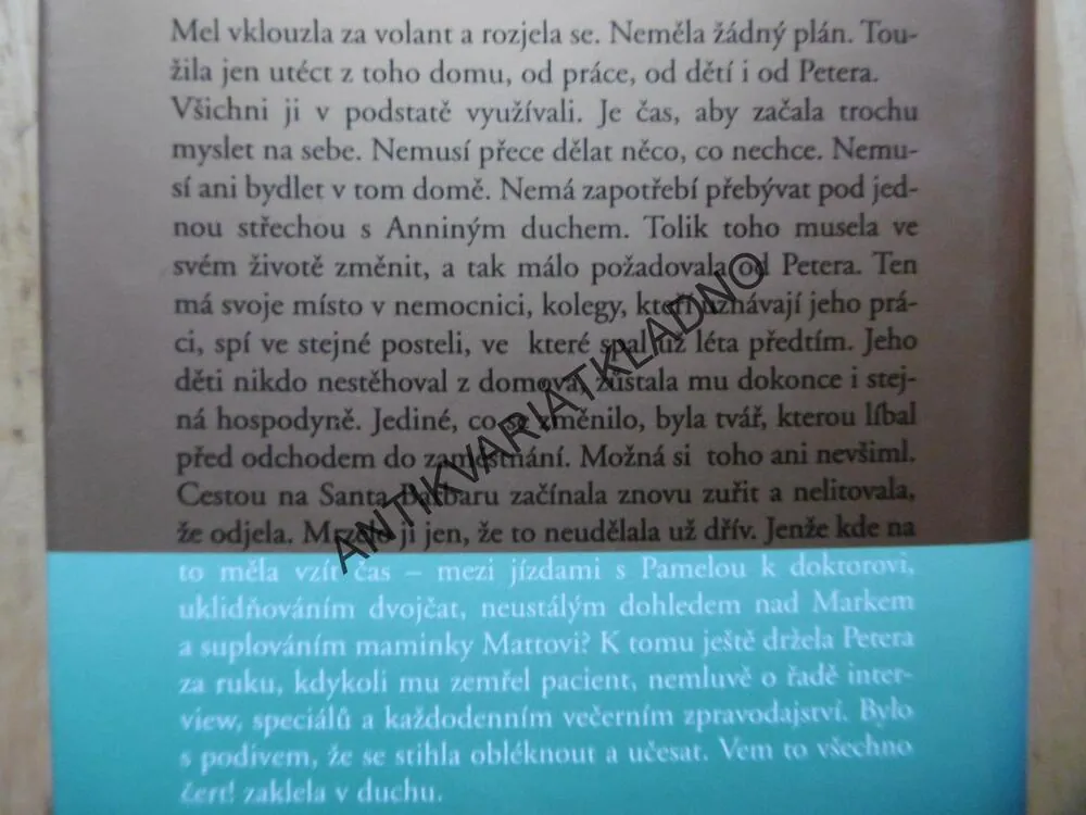 OSUDY, DANIELLE STEEL, **an