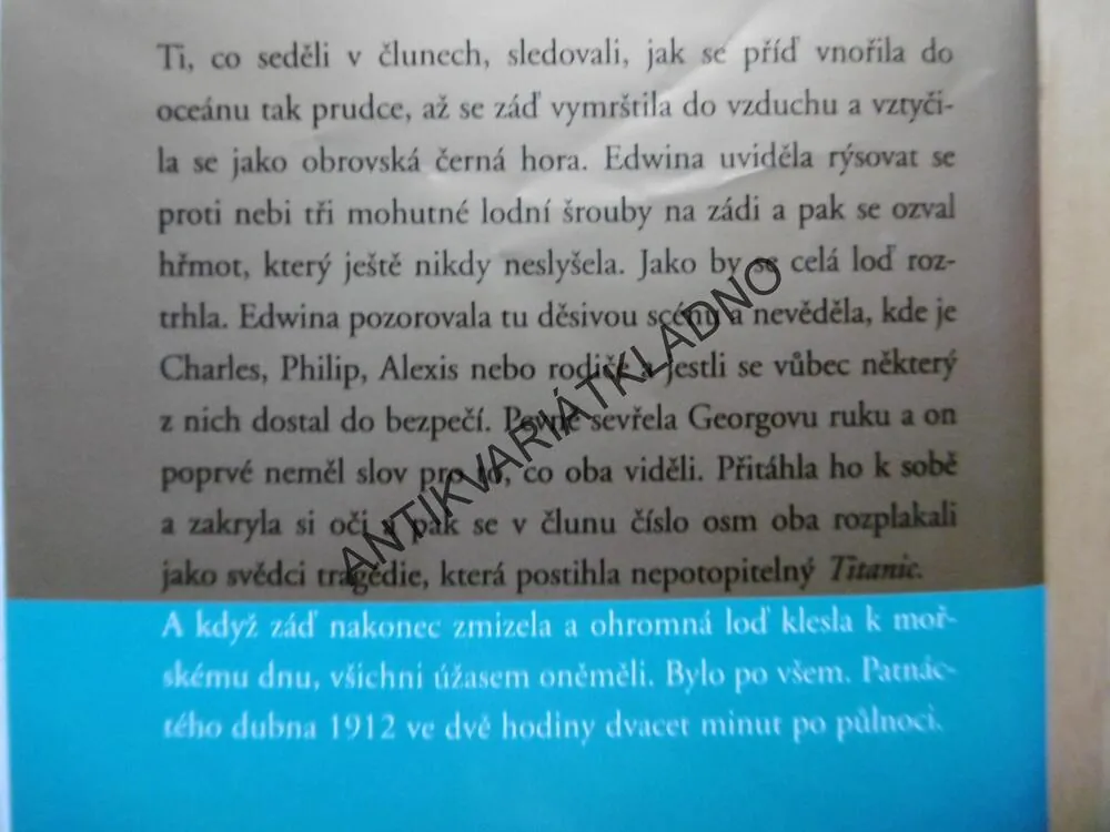 NEVÝSLOVNÁ LÁSKA, DANIELLE STEEL. **an