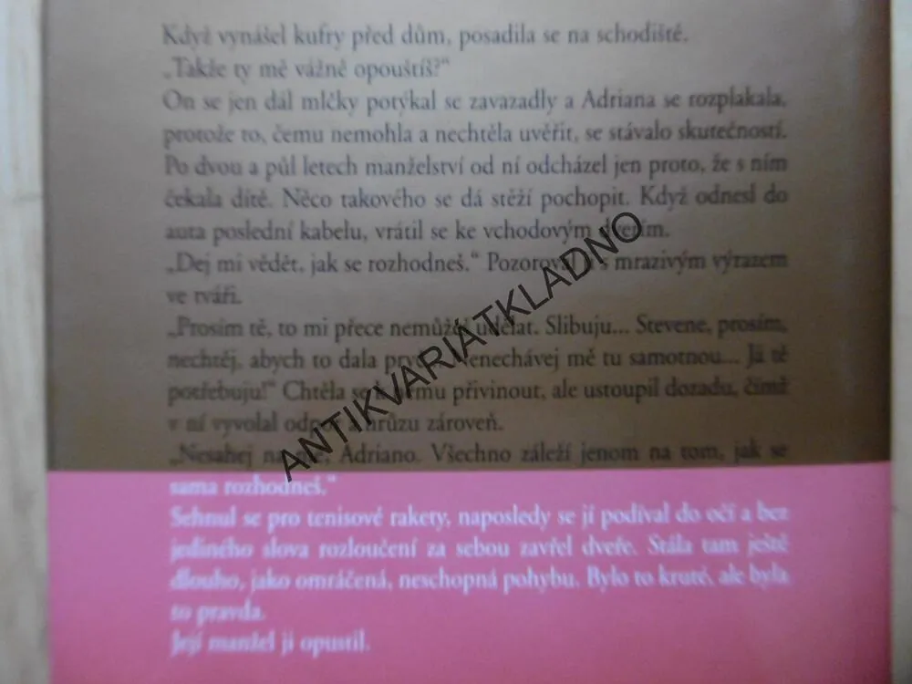TLUKOT SRDCE, DANIELLE STEEL