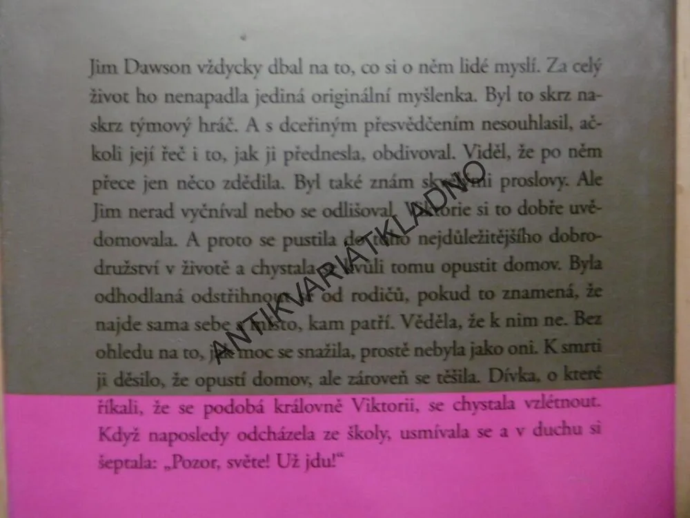 VELKÁ HOLKA, DANIELLE STEEL