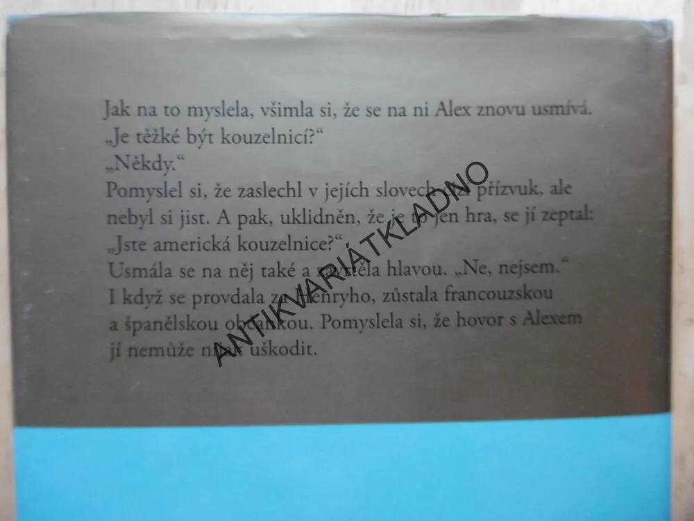 CIZÍ ŽENA, DANIELLE STEEL, **an