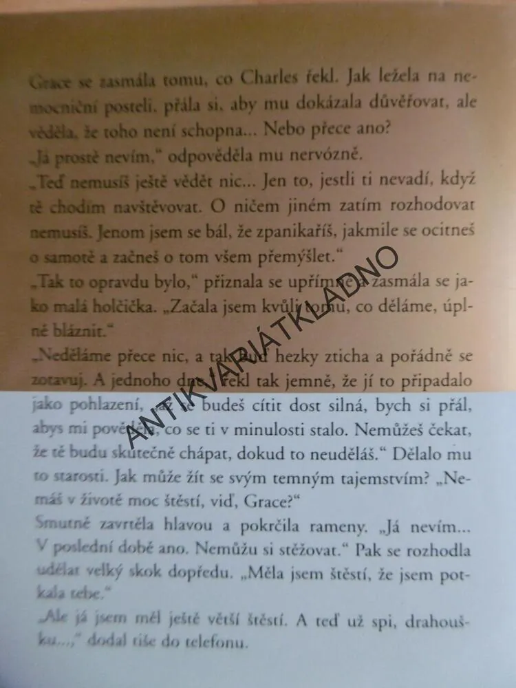 ZÁŠŤ, DANIELLE STEEL, **an