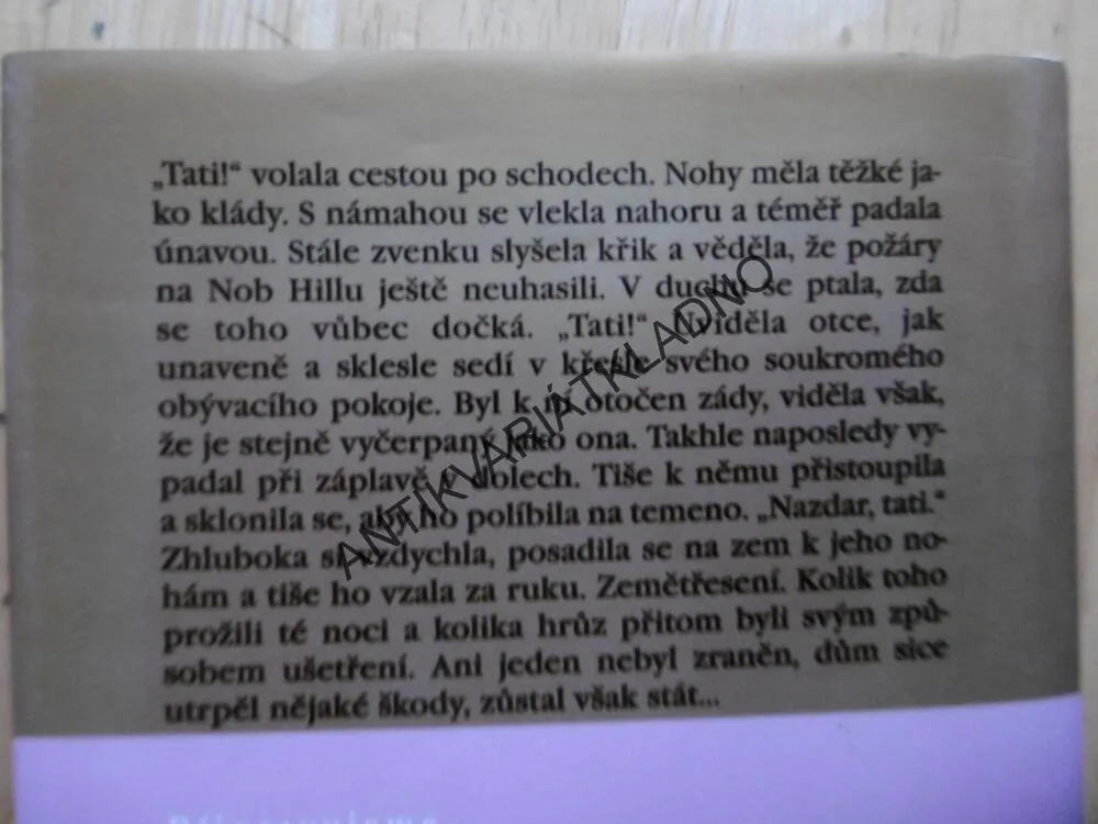 THURSTONŮV DŮM, DANIELLE STEEL, **an