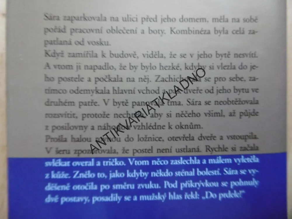 DŮM, DANIELLE STEEL, **an