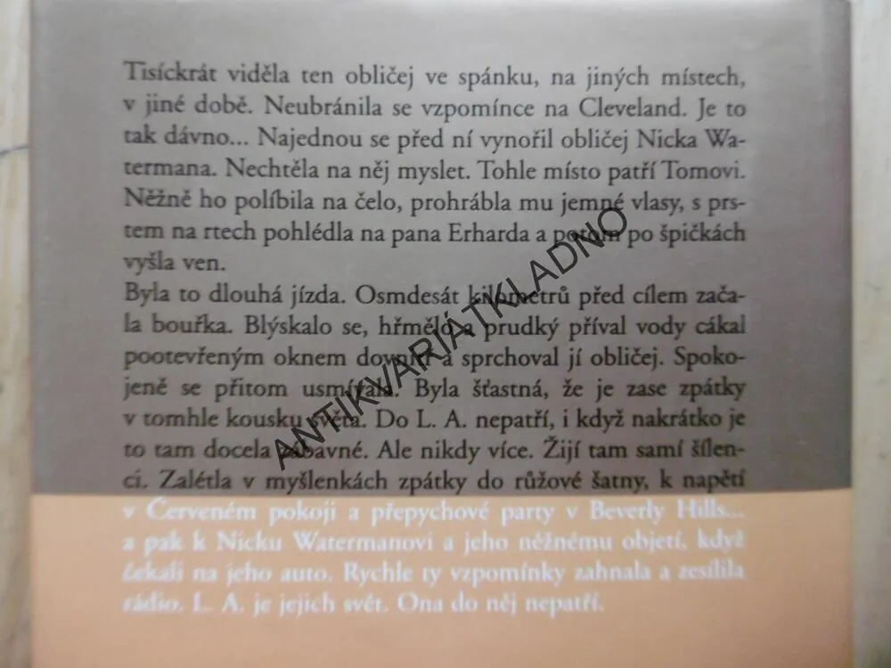 VÁŠNIVÁ SEZONA, DANIELLE STEEL, **an