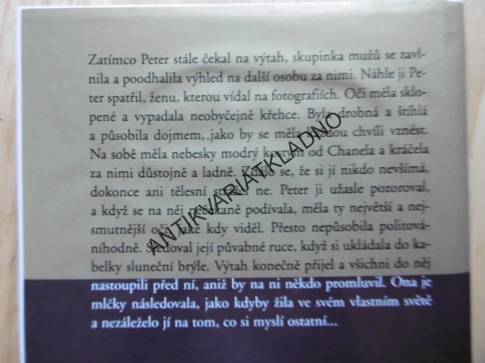 PĚT DNÍ V PAŘÍŽI, DANIELLE STEEL, **an