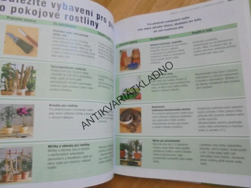POKOJOVÉ ROSTLINY, PĚSTOVÁNÍ, VÝBĚR, NÁPAD PRO MÍSTO, **an
