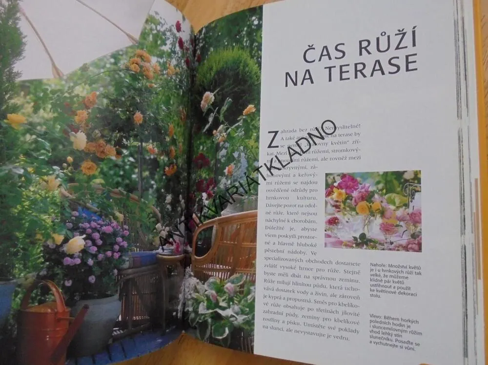 MODERNÍ TERASOVÉ ZAHRADY, KBELÍKOVÉ ROSTLINY , **an