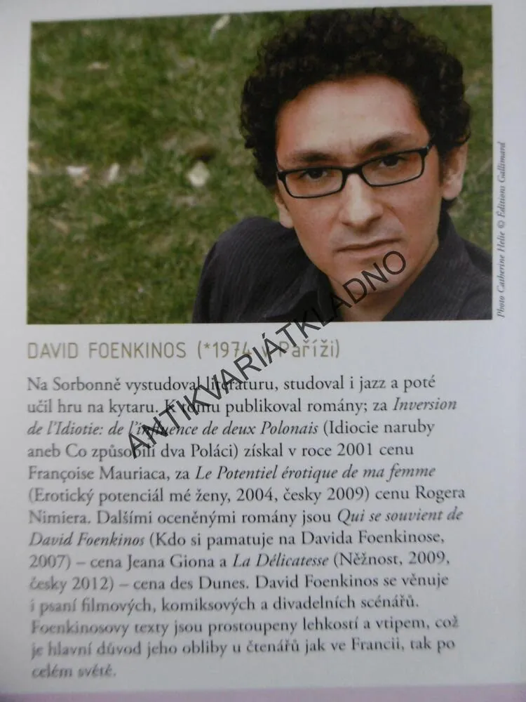 NĚŽNOST, DAVID FOENKINOS, **an