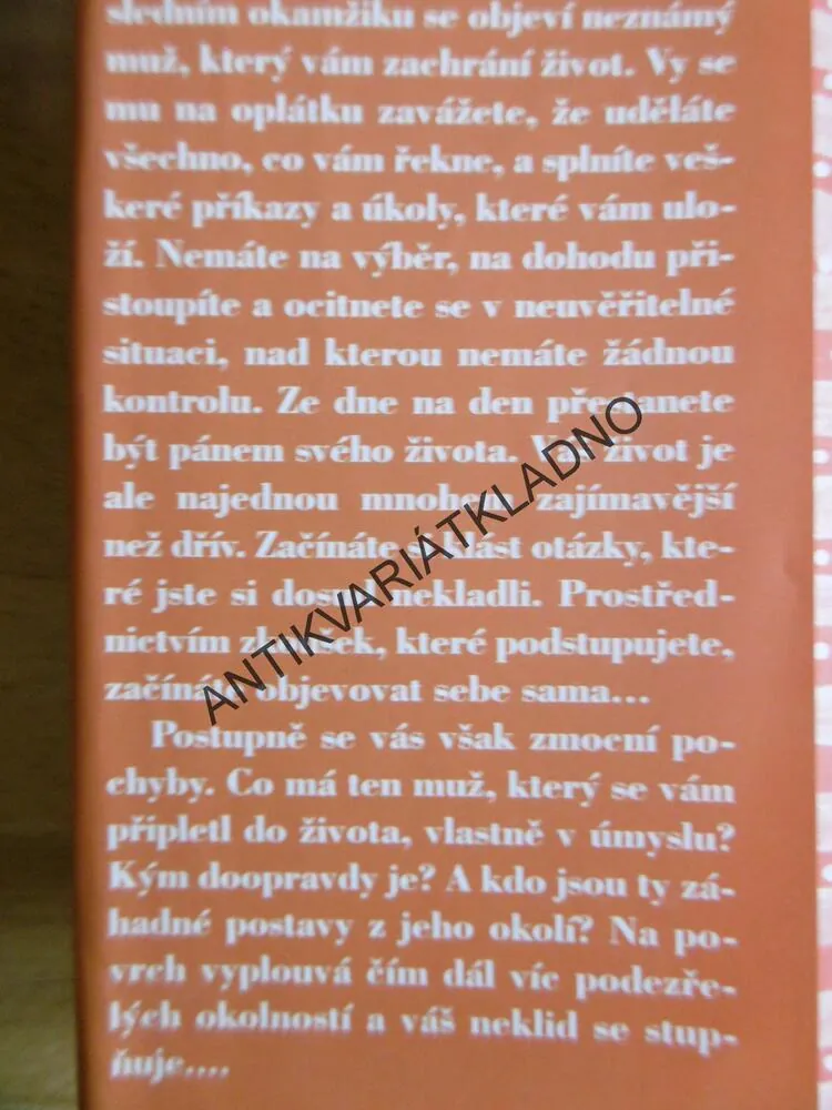 BŮH CHODÍ PO SVĚTE VŽDYCKY INKOGNITO, LAURENT GOUNELLE, **an