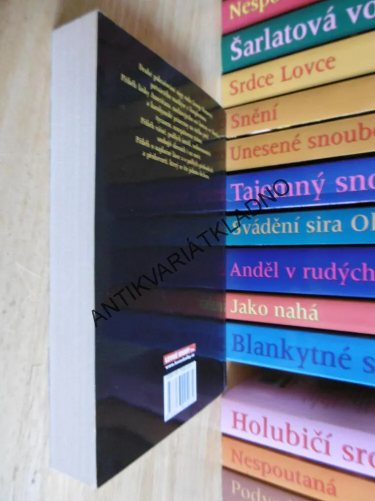 NAVŽDY PRINCEZNOU, REBECCA HAGAN LEEOVÁ, **an